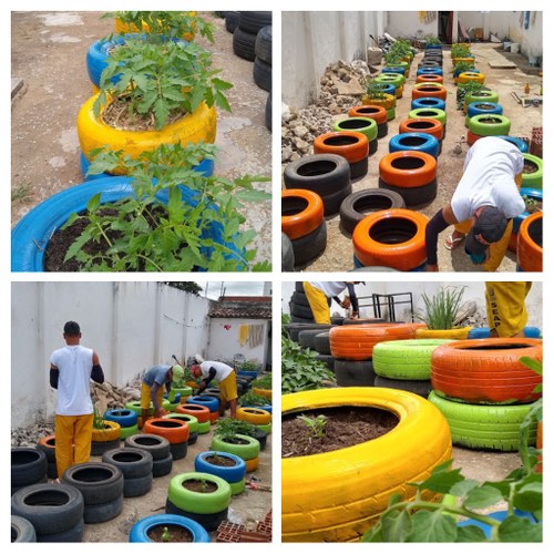 Horta agroecológica na Cadeia Pública de Bananeiras_Imagem cedida pelo projeto