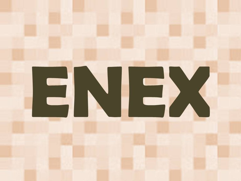 Banner ENEX.jpeg