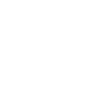 Logo PROEX-06.png